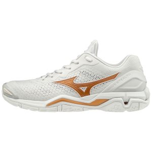 Mizuno Wave Stealth V Παπουτσια Χαντμπολ Γυναικεια - Ασπρα